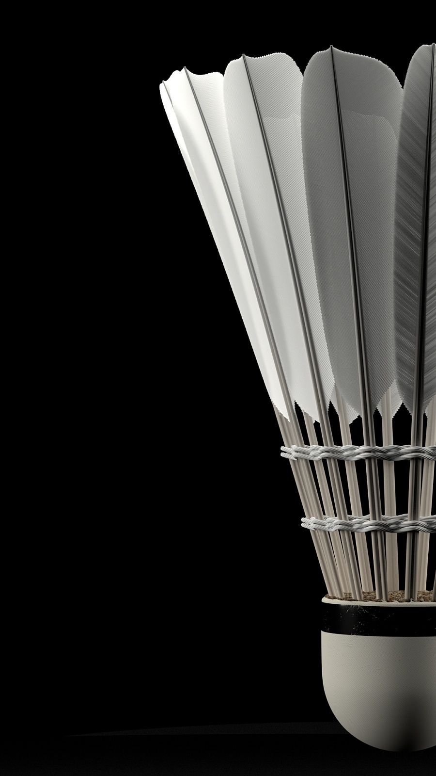 球队管理层 球队管理层